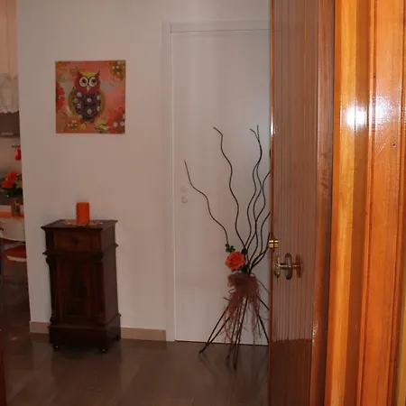 Fiori D'arancio